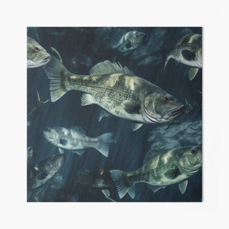 Bass fish pattern Art Board Print for Sale by muskitt