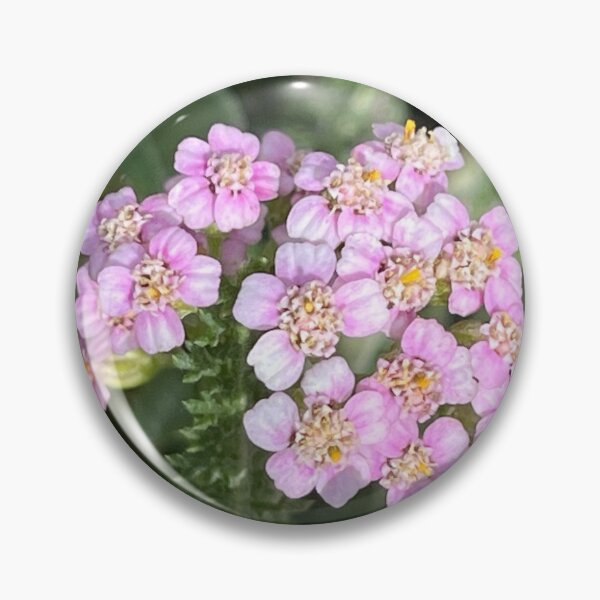 Item preview, Branch of Achillea Millefolium designed and sold by Ponted.