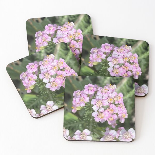 Item preview, Branch of Achillea Millefolium designed and sold by Ponted.