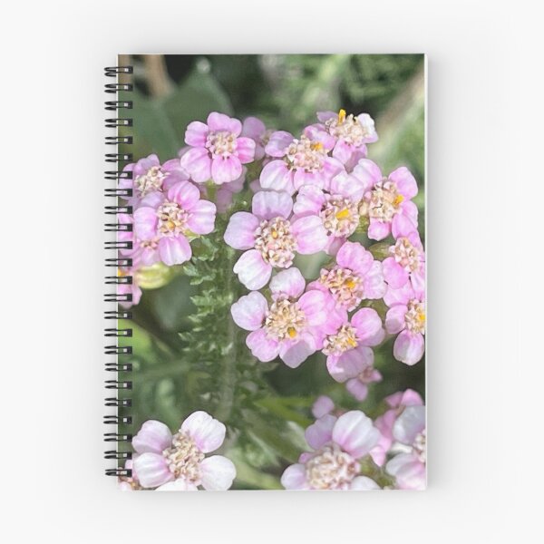 Item preview, Branch of Achillea Millefolium designed and sold by Ponted.