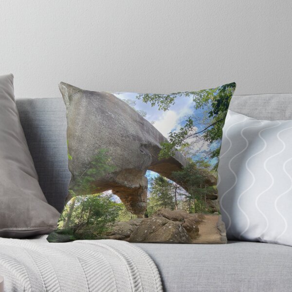 Aperçu de l'œuvre Grand pont en pierre naturelle, Kentucky (USA) créée et vendue par Sarah Tepe.