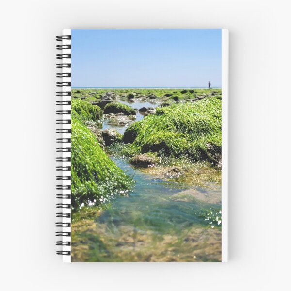 Item preview, Rock Pools designed and sold by OhNoNotAgain42.