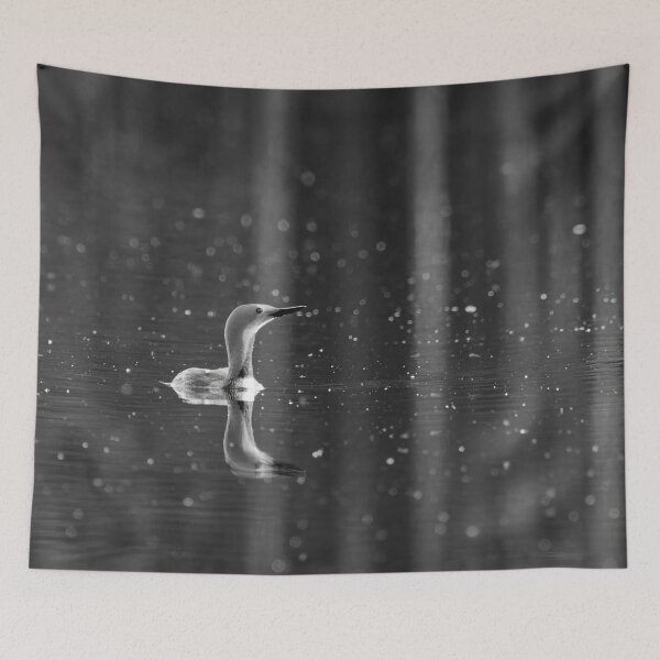 Item preview, Pinestripes 2. Red-throated loon bw designed and sold by Jouko Lehto Photography.