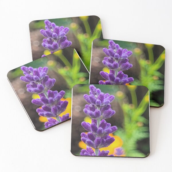 Item preview, Purple Lavender in my English Country cottage Garden designed and sold by OhNoNotAgain42.