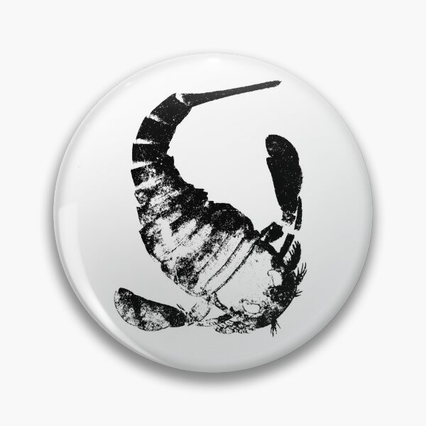 Item preview, Fossil Eurypterus designed and sold by PaleoInvert.