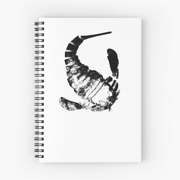 Item preview, Fossil Eurypterus designed and sold by PaleoInvert.