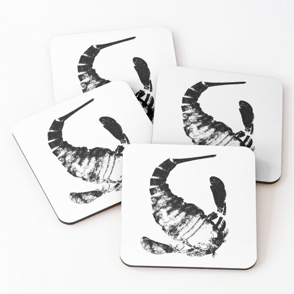 Item preview, Fossil Eurypterus designed and sold by PaleoInvert.
