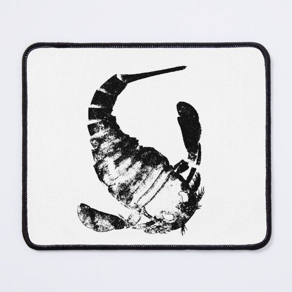 Item preview, Fossil Eurypterus designed and sold by PaleoInvert.