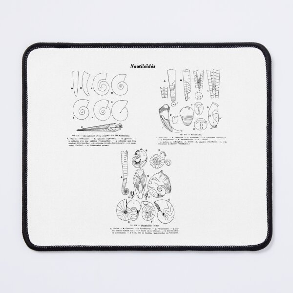 Item preview, Vintage Nautiloids ammonite fossil drawing design designed and sold by a-spinifex.