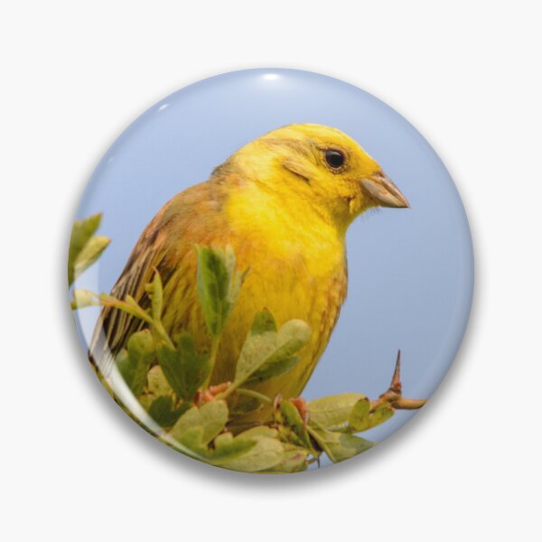 Item preview, Yellowhammer designed and sold by LeeMaunderPics.
