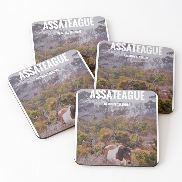Item preview, Assateague National Seashore Design designed and sold by Will-Carney.