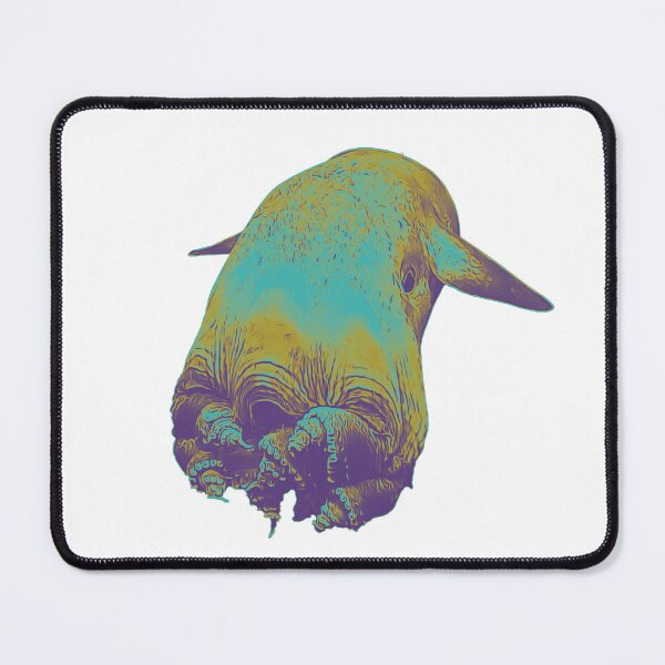 Item preview, Cute Dumbo Octopus in kiwi colors designed and sold by DreamingBeetle.