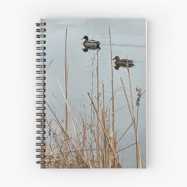 Item preview, Floating Ducks designed and sold by Two-Roads.