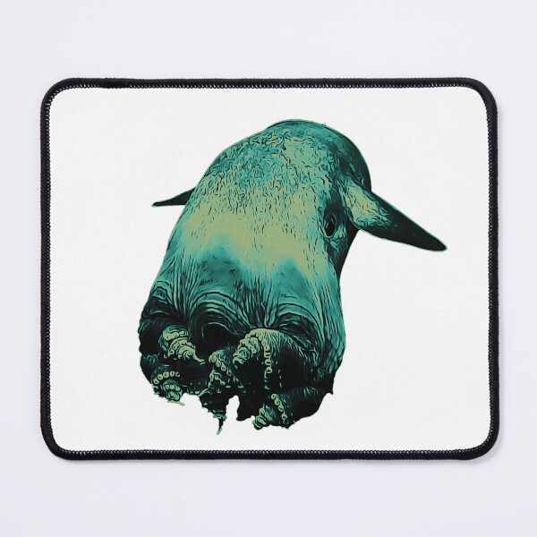 Item preview, Cute Dumbo Octopus in rainforest colors designed and sold by DreamingBeetle.