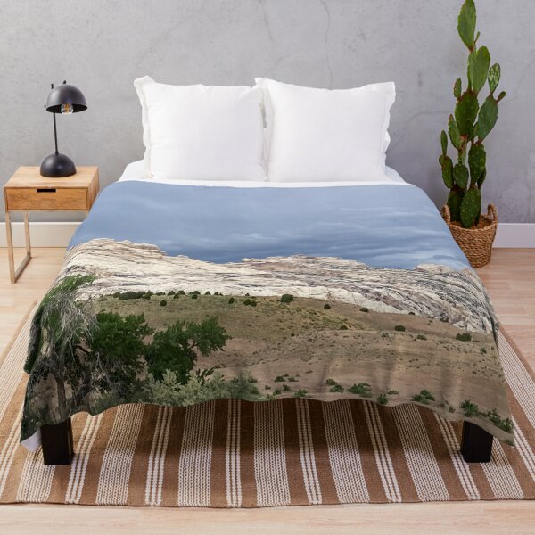 Item preview, Dinosaur National Monument designed and sold by TinyDinoDesigns.