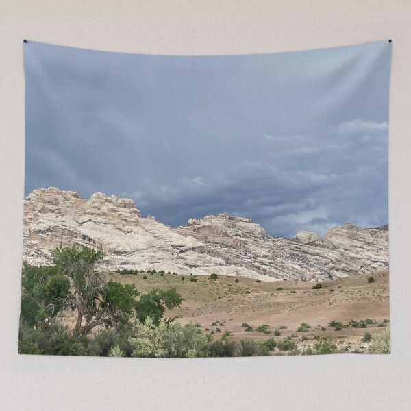 Item preview, Dinosaur National Monument designed and sold by TinyDinoDesigns.