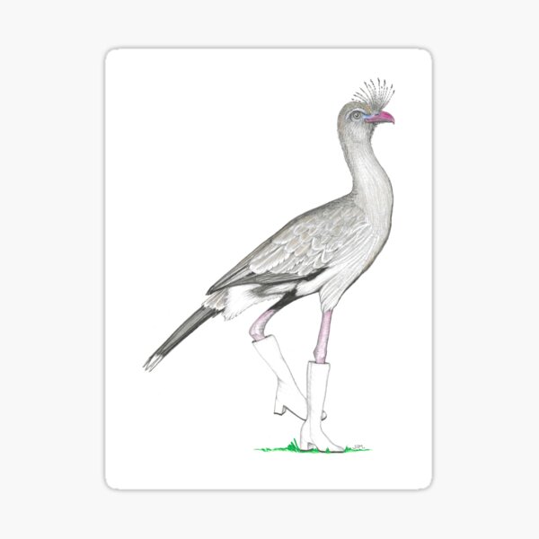 Item preview, Red-legged Seriema in Go Go Boots designed and sold by JimsBirds.