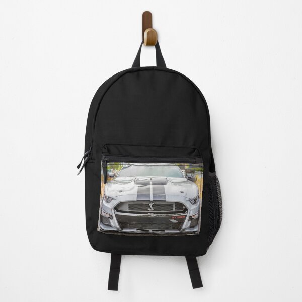 Item preview,  2020 Silver Ford Mustang Shelby GT500 X143 designed and sold by RichFrancoCars.