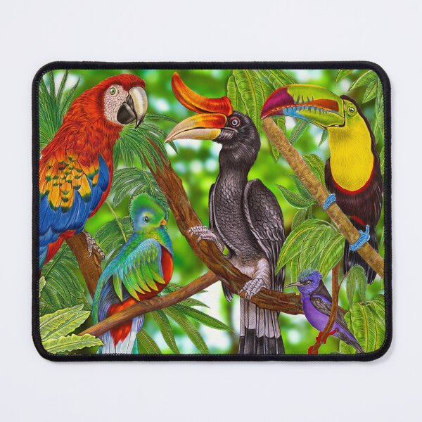 Item preview, Rainforest Birds designed and sold by TimJeffsArt.