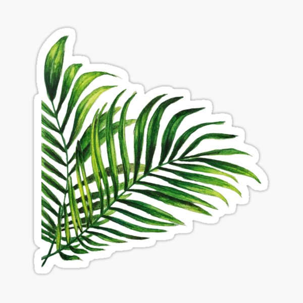 Item preview, Palm Tree Leaves , Watercolor Pencil. designed and sold by PocketRoom.