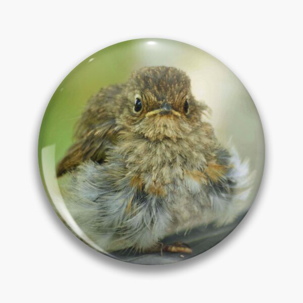 Item preview, Well are you going to feed me? Robin red breast chick designed and sold by LorrieBee.