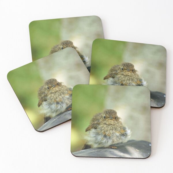 Item preview, Well are you going to feed me? Robin red breast chick designed and sold by LorrieBee.