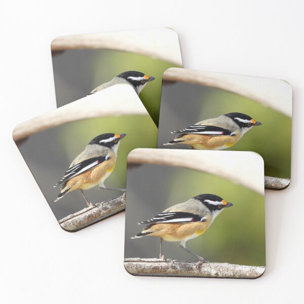 Item preview, Striated Pardalote still for a moment  designed and sold by Mark Grimsley.