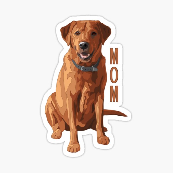 Fox Red Lab Merch & Gifts for Sale | Redbubble
