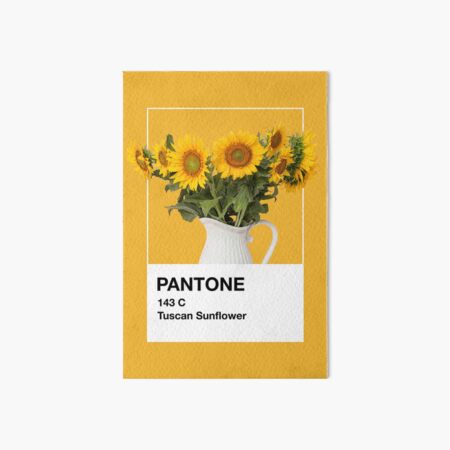 Pantone Paint Art Board Prints for Sale