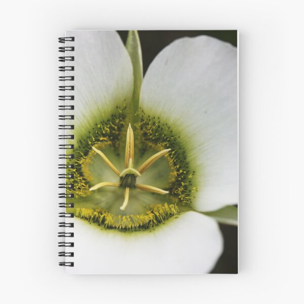 Item preview, American Pasque Flower designed and sold by Julie's Camera Creations <><.