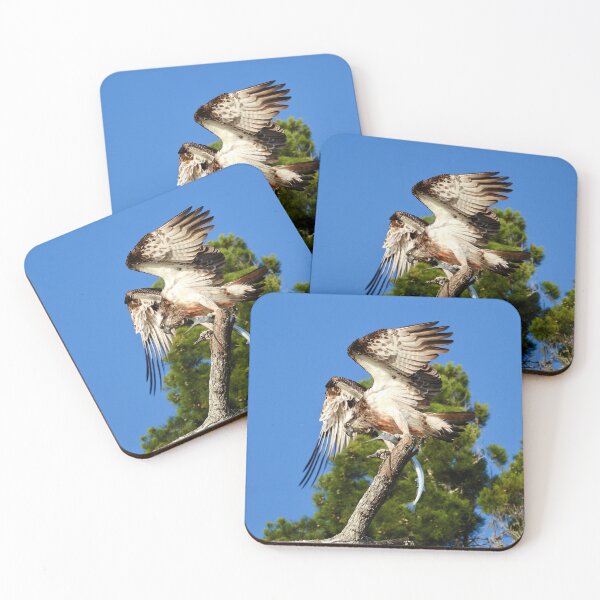 Item preview, Bird of prey Breakfast catch of the day designed and sold by Mark Grimsley.