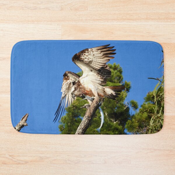 Item preview, Bird of prey Breakfast catch of the day designed and sold by Mark Grimsley.