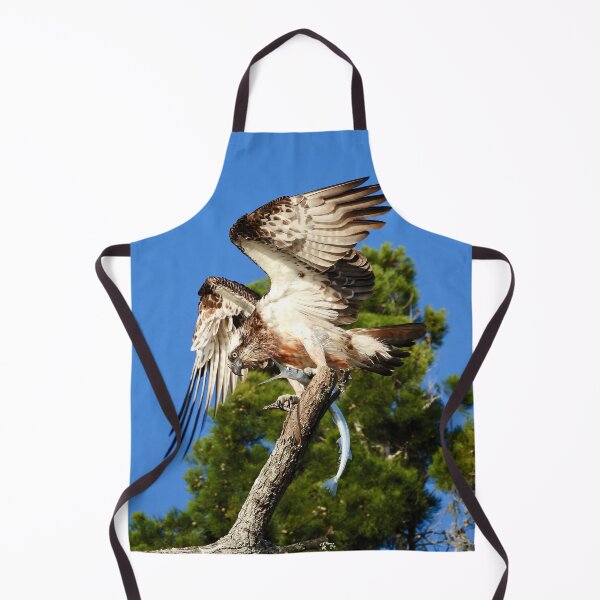 Item preview, Bird of prey Breakfast catch of the day designed and sold by Mark Grimsley.