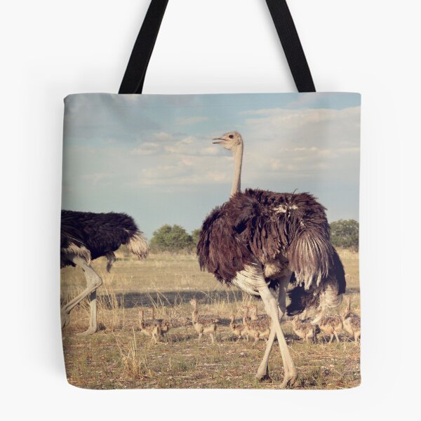 Item preview, Gran familia de avestruces Parque Nacional de Etosha designed and sold by creativechuckie.
