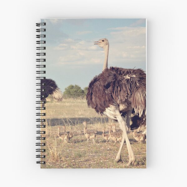 Artikelvorschau, Großer Strauß-Familien-Etosha Nationalpark entworfen und verkauft von creativechuckie.