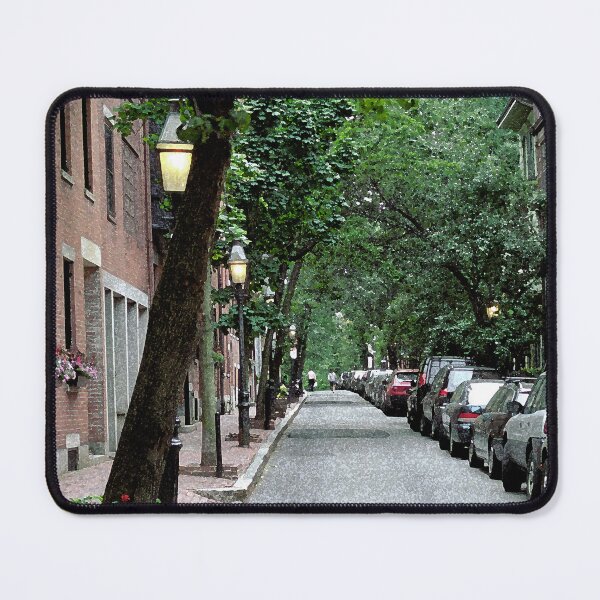 Item preview, Boston Street designed and sold by KirtTisdale.