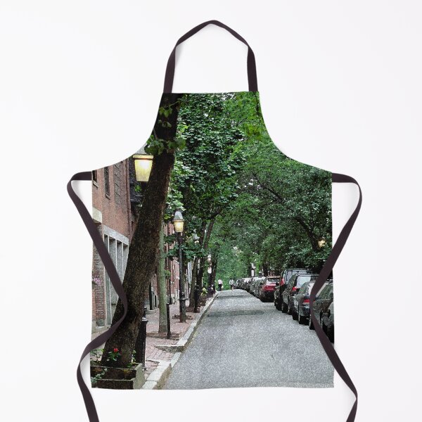 Item preview, Boston Street designed and sold by KirtTisdale.