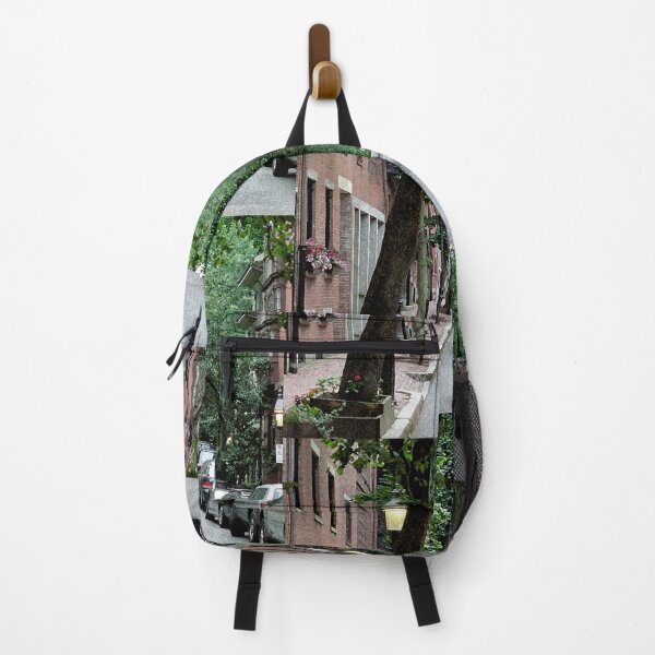 Item preview, Boston Street designed and sold by KirtTisdale.