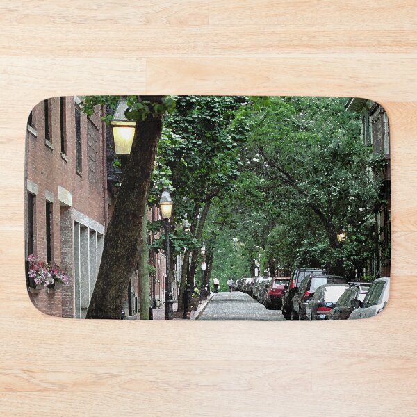 Item preview, Boston Street designed and sold by KirtTisdale.