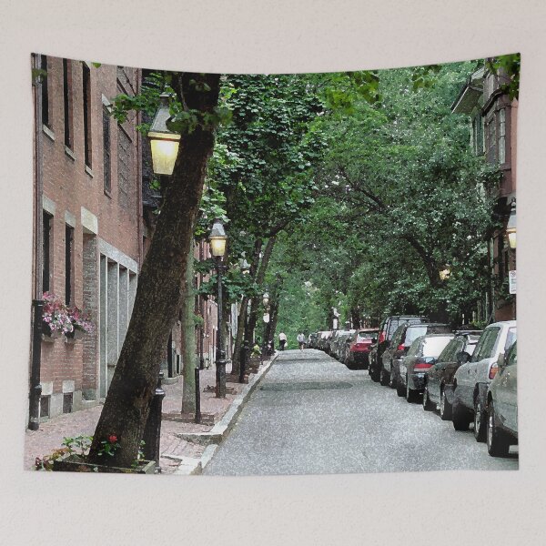 Item preview, Boston Street designed and sold by KirtTisdale.