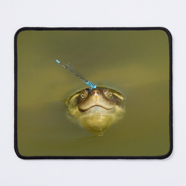 Item preview, Time for a smile turtle  designed and sold by Mark Grimsley.