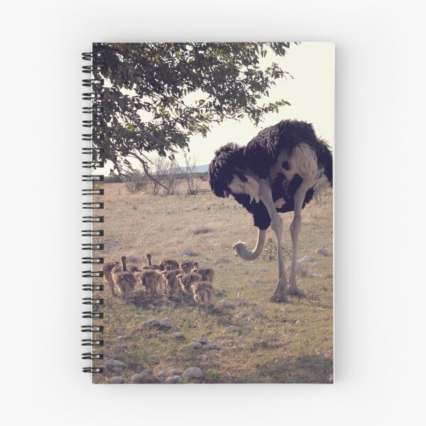 Item preview, Mamma Ostrich and her Chicks designed and sold by creativechuckie.