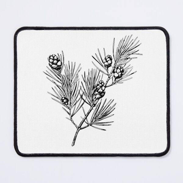 Item preview, Scots Pine Botanical Lithograph designed and sold by StudioChiisai.