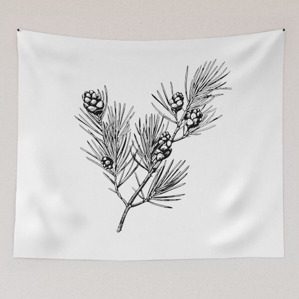 Item preview, Scots Pine Botanical Lithograph designed and sold by StudioChiisai.