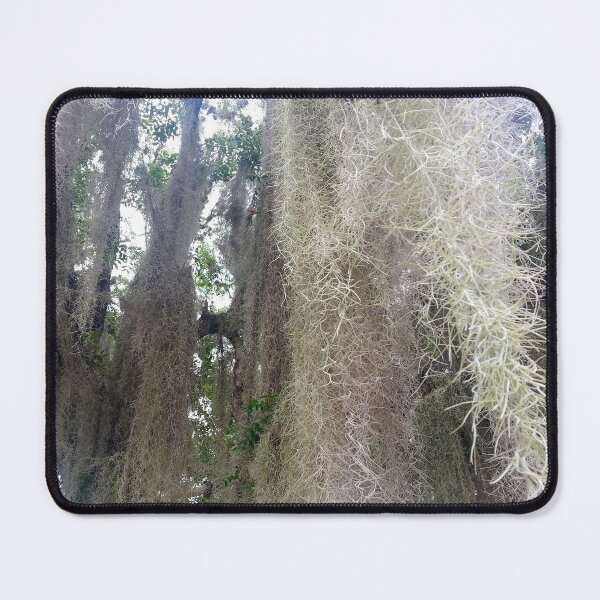 Item preview, Spanish Moss designed and sold by bjtomiko.
