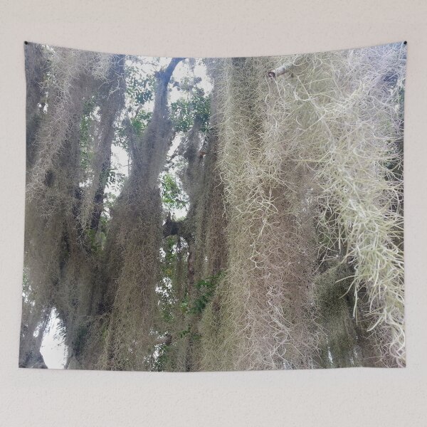 Item preview, Spanish Moss designed and sold by bjtomiko.
