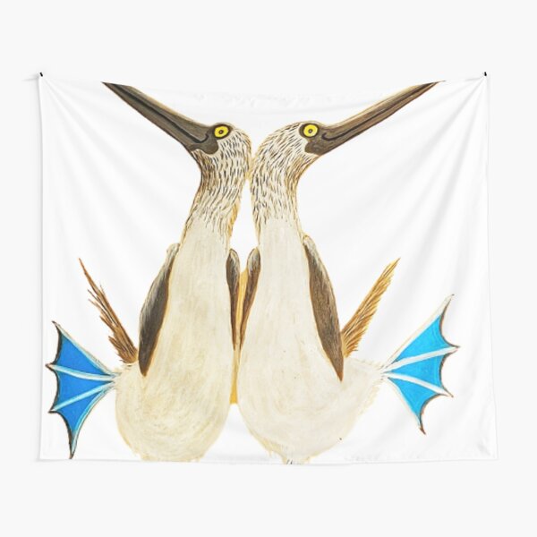 Tapestry Wall Hanging Boobies Bluefooted Booby Iconic Famous Galapagos  Animals Wildlife Blue Footed Bird Birdwatching Funny Tapestry for Living  Room