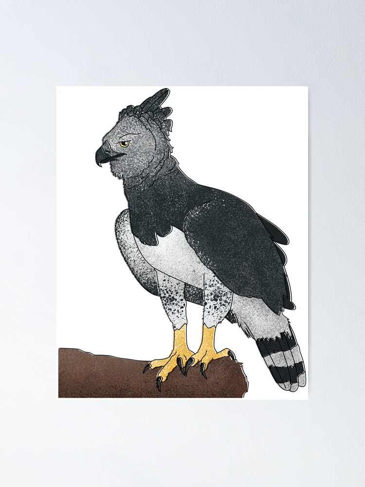 Harpy Eagle Poster for Sale by marivin