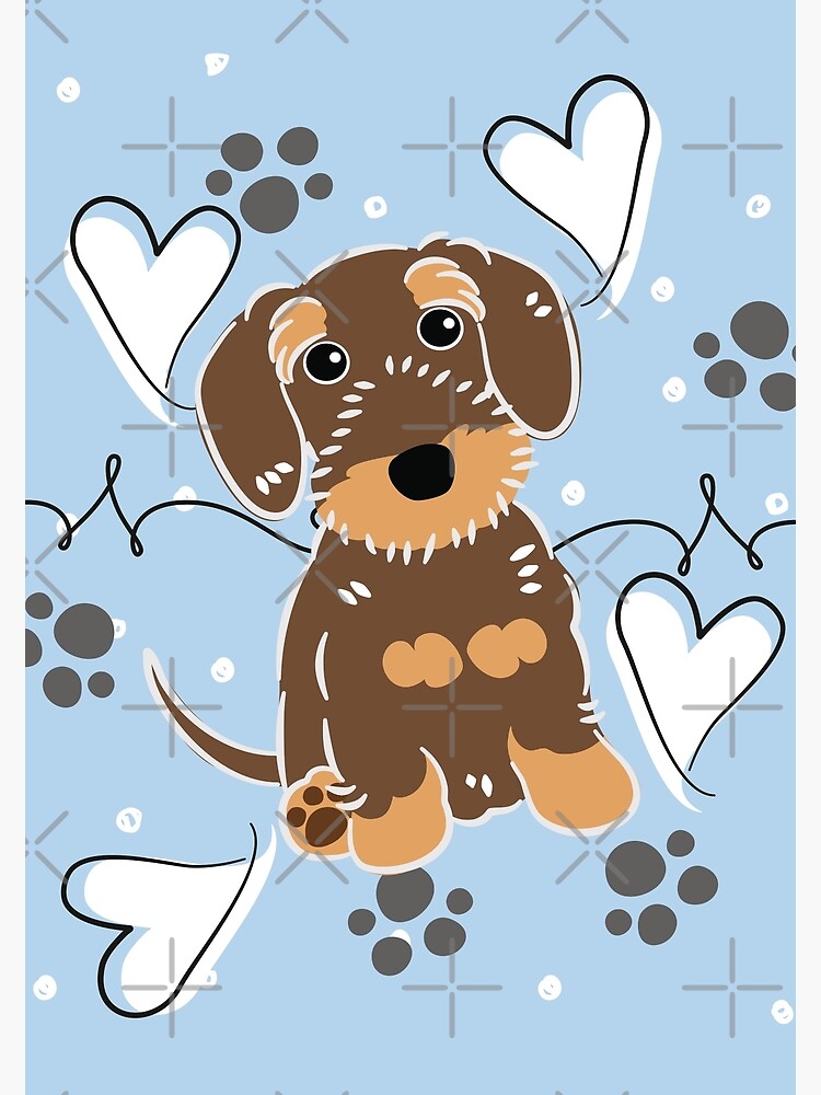 LOVE Chocolate Tan Wire Haired Dachshund Sausage Dog Photographic Print