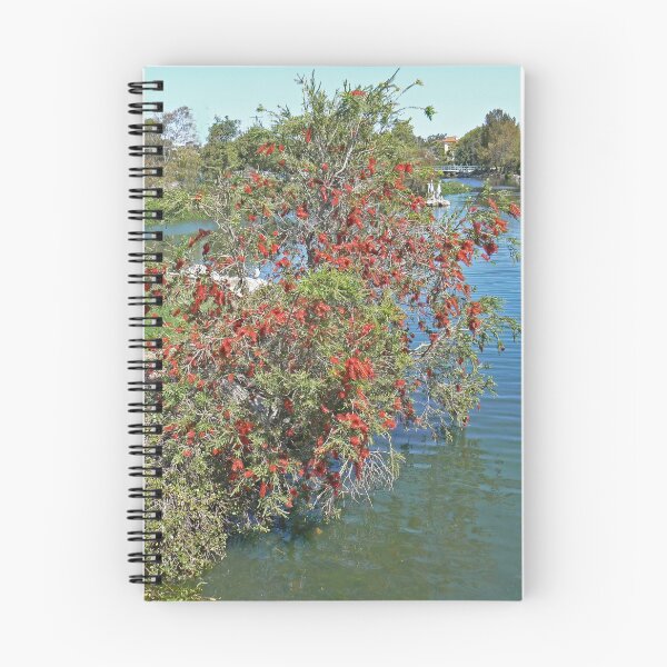 Item preview, Redcliffe Callistemon designed and sold by Graeme  Hyde.